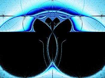 Bilde